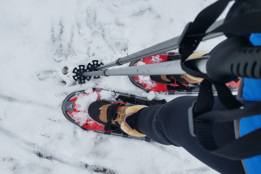 Winter Wonderland: A Quick Guide to Colorado Snowshoeing