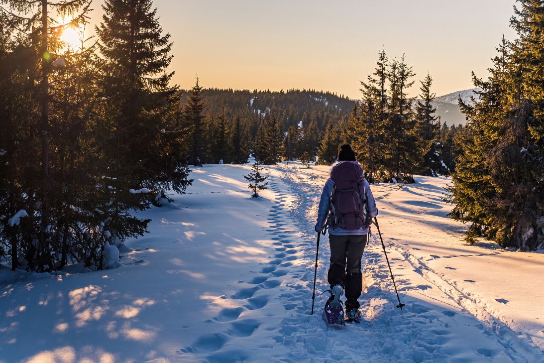 Beyond Skiing: Other Winter Activities To Try in Colorado