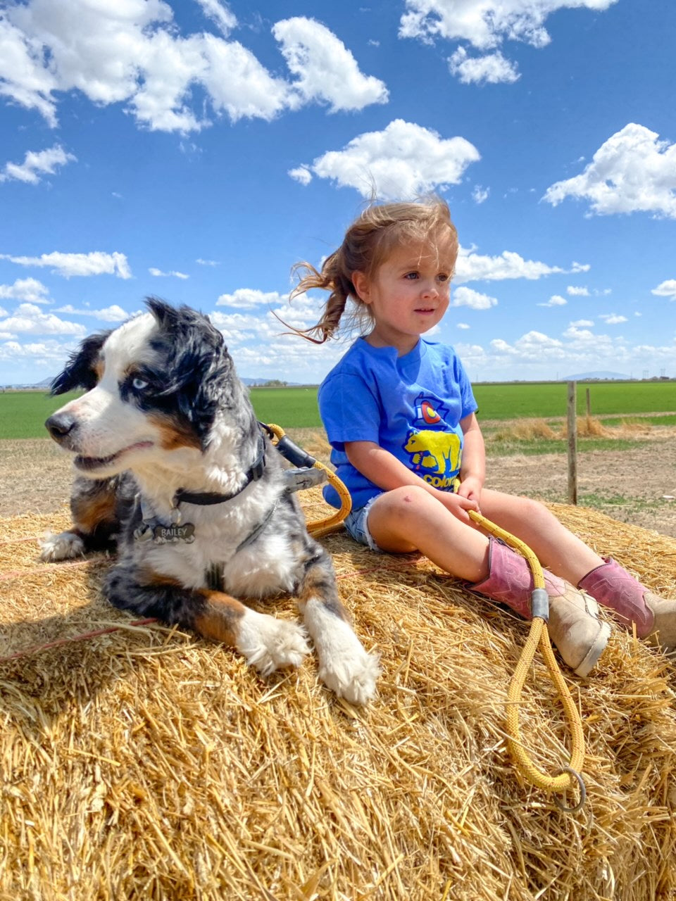 Best Buddy Upcycled Dog Leash - Yellow Jacket