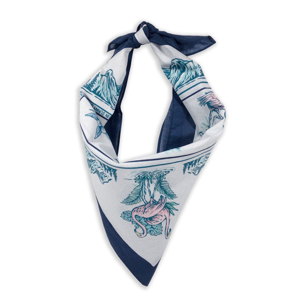 Flamingo Mountain Bandana