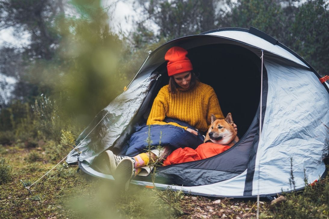 How to Camp with Your Dog in Colorado