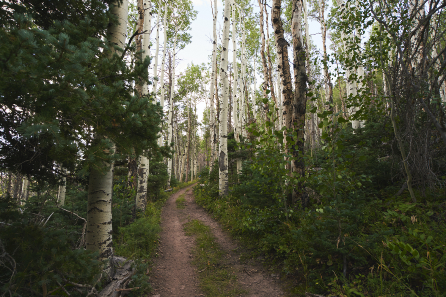 The Best Colorado Hiking Trails You Can't Miss This Summer