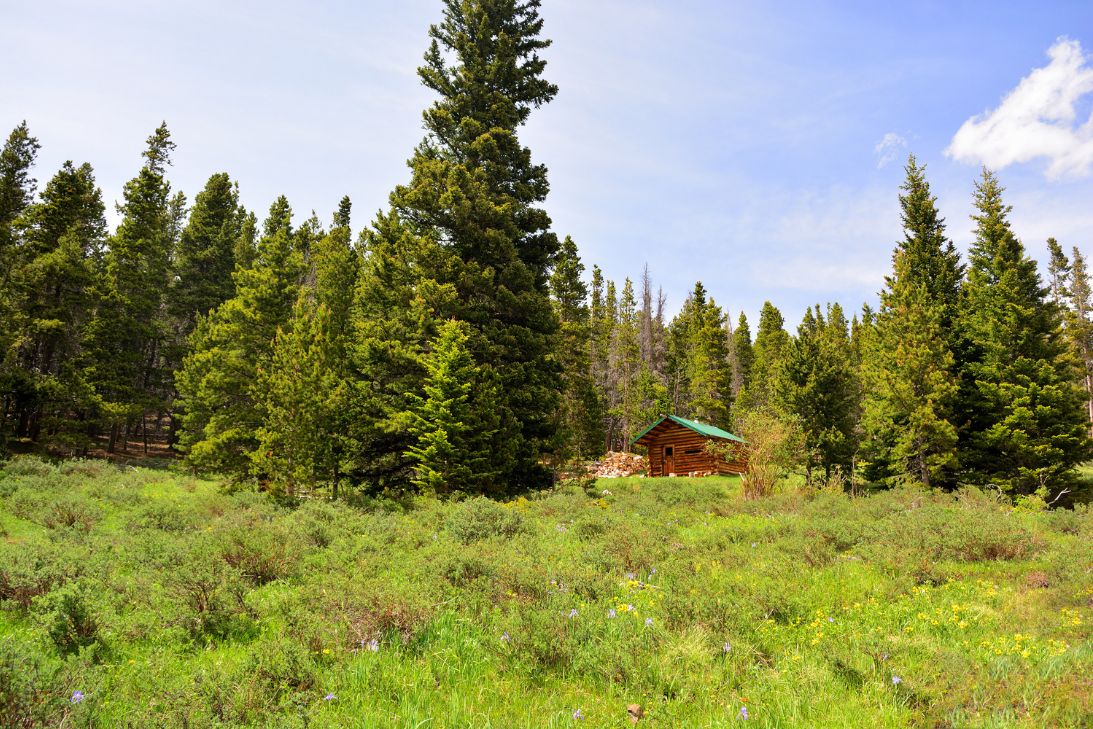 Reasons To Consider a Wellness Retreat in Colorado