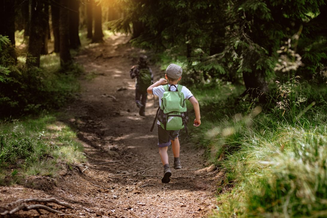 Tips for Hiking With Young Children and Toddlers