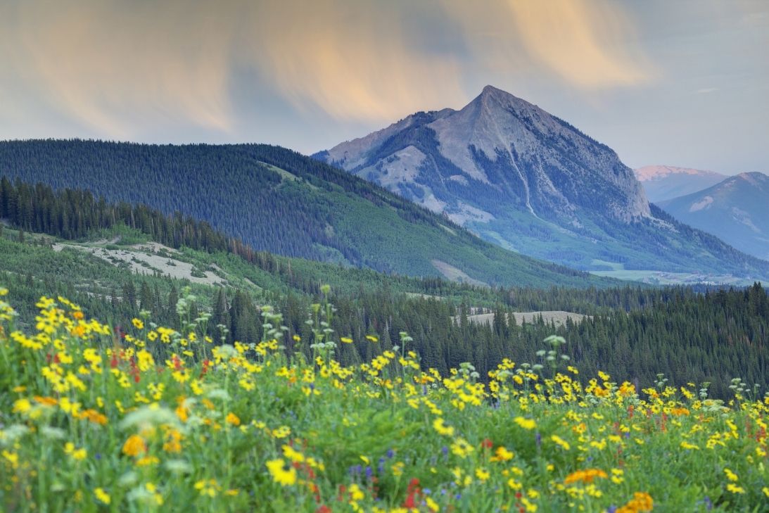 This Charming Town Is the Wildflower Capital of Colorado — Here's When to  Visit to See the Blooms Peak