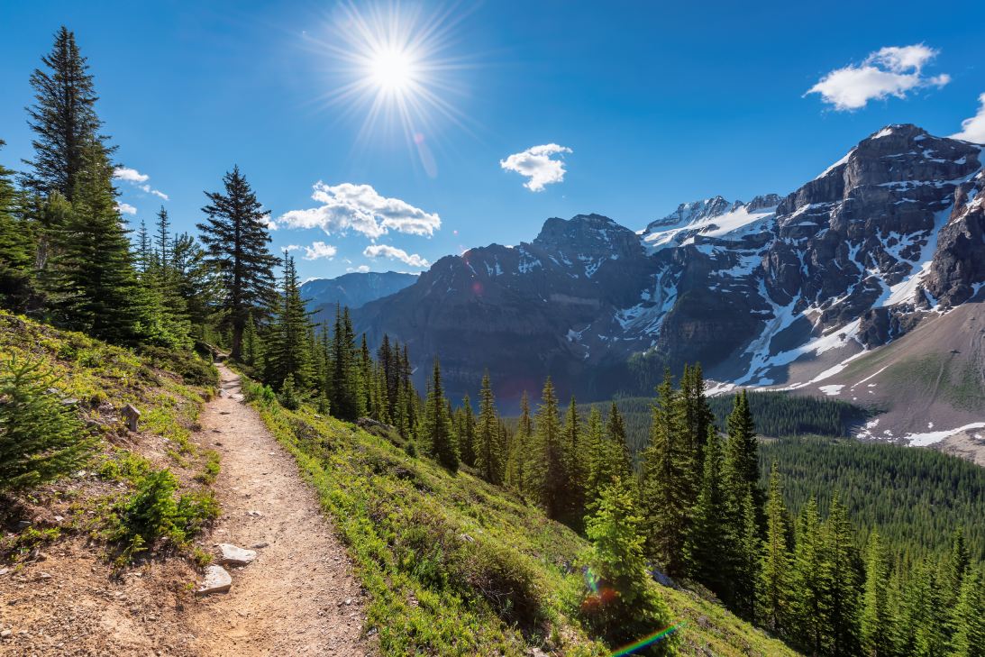 A dirt hiking trail on a steep, grassy slope surrounded by evergreens. There are snowy mountains in the background.