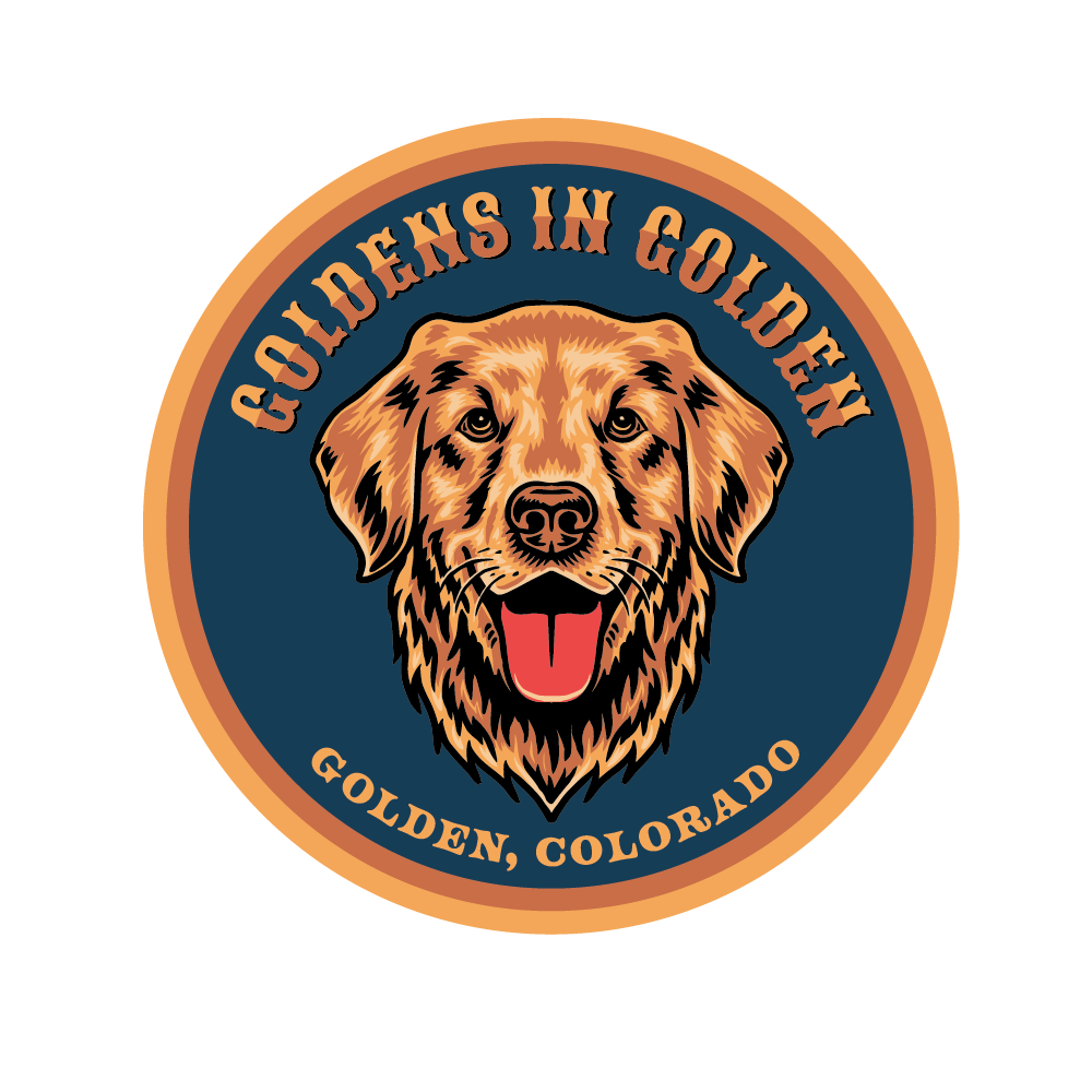 Goldens in Golden Sticker
