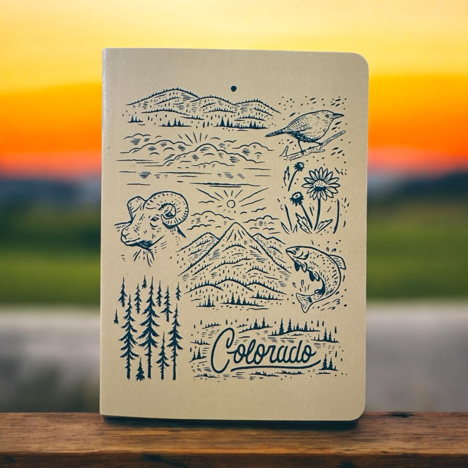 Moore X YoColorado 3-pack Adventure Journals