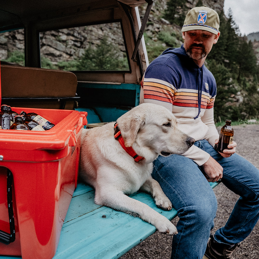 Coors Banquet Logo Cooler Backpack