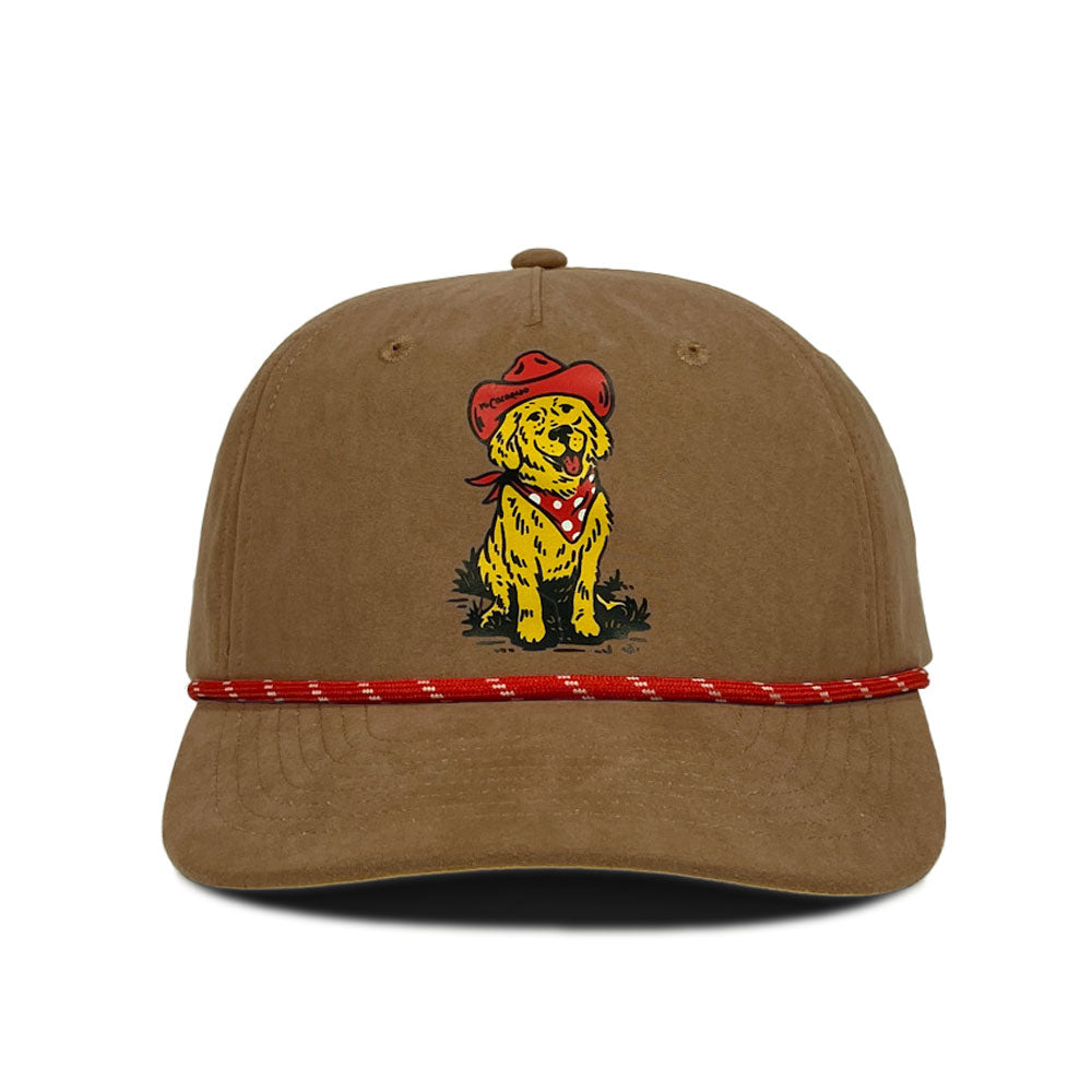 Polo dog outlet hat