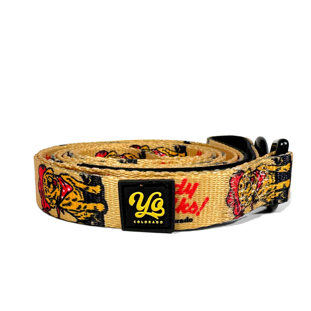 YoColorado Golden Dog Days Leash